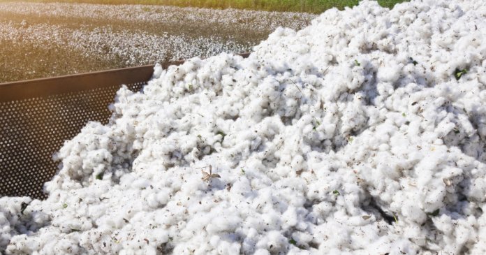 Guvernul va achita o obligație veche de mai bine de 30 de ani către SUA pentru un împrumut destinat achiziției de bumbac.