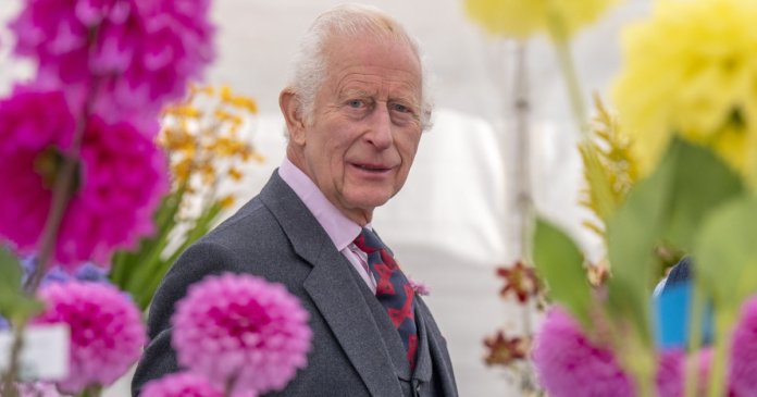 Ultimele noutăți de la Regele Charles privind terapia sa pentru cancer: „Poate fi copleșitor”