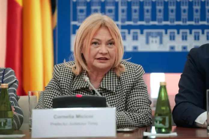 Culminarea digitalizării: cazier judiciar obținut prin aplicația MAI, refuzat în Timișoara la testul pentru permisul auto