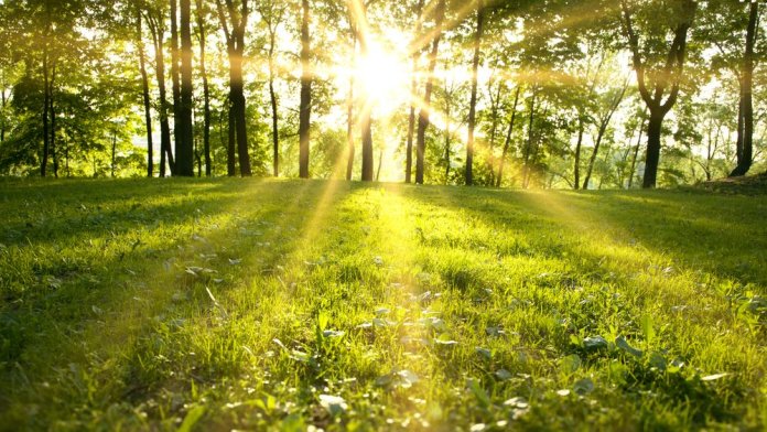 Meteorologii ANM au actualizat alertarea pentru condiții meteorologice extreme. Zonele în care va ninge până joi dimineața. HARTĂ