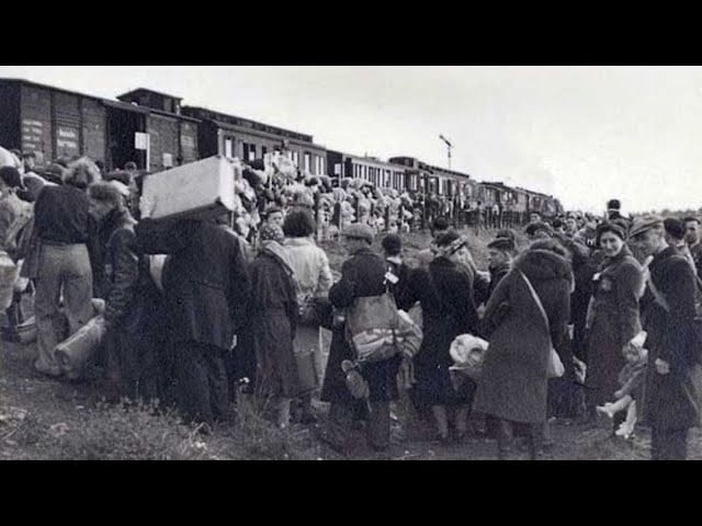 Harta emigrărilor staliniste din Basarabia creată cu asistența AI: „Bunicii și familiile și-au descoperit locul pe platformă”