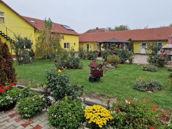 Mitul „mângâierii samaritenilor” în contrast cu realitatea azilelor din Bihor: Viorel Pașca, în fața Curții de Apel București